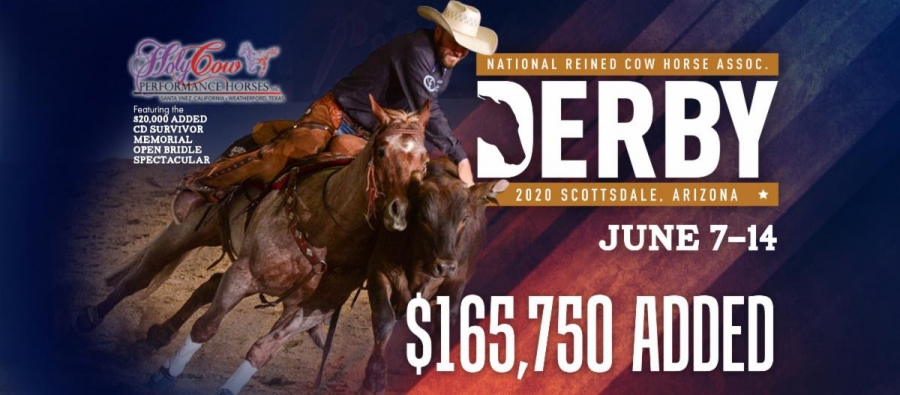 NRCHA Derby Champions Are Crowned in Scottsdale, Arizona