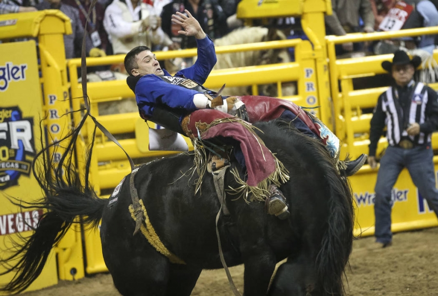 Caleb Bennett of Tremonton, Utah (6) competes in the bareback riding event during the ninth go-round of the National Finals Rodeo at the Thomas &amp; Mack Center in Las Vegas, Friday, Dec. 14, 2018