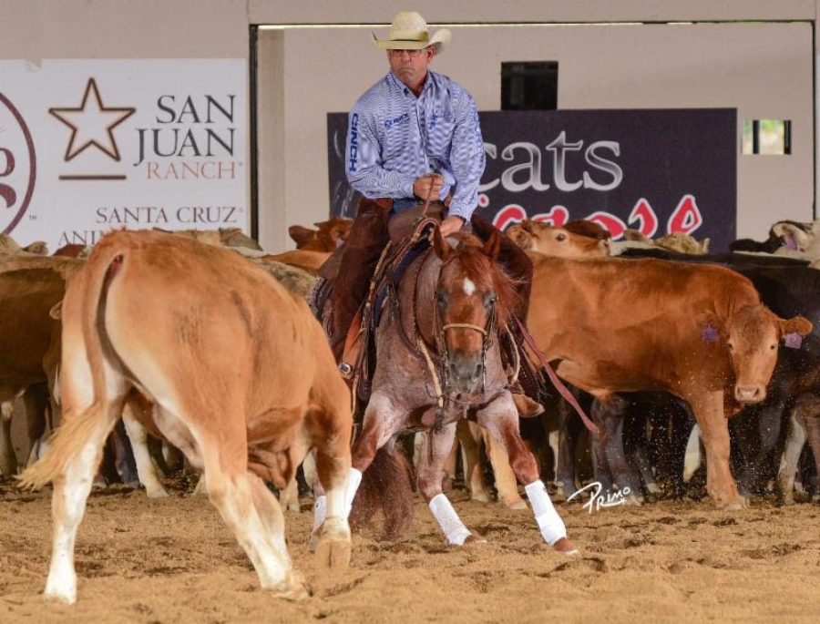 Boyd Rice and Quahadi, owned by Burnett Ranches LLC marked a 218 in Open Two Rein Spectacular herd work.