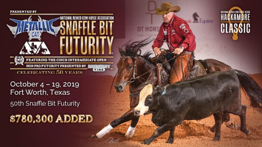 Abbie Phillips and CR Tuff Guns N Roses target NRCHA Non Pro Futurity, presented by Discount Tire, herd work win
