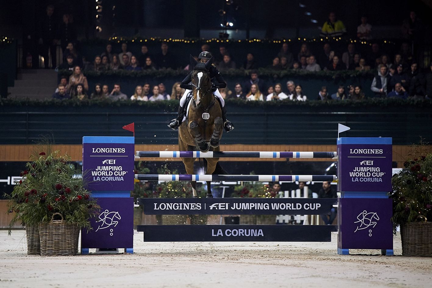 Janne Friederike Meyer-Zimmermann & Messi van't Ruytershof Photo Coronas Novas / Oxersport