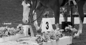 Photo Courtesy APHA