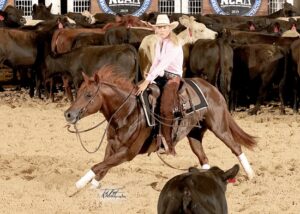 Photos Courtesy by NCHA/Ted Petit Photography