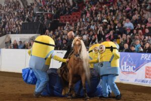 Photos courtesy of Shane Rux for All American Quarter Horse Congress