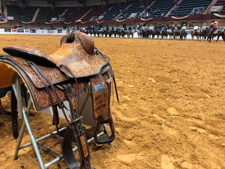 Photo courtesy NRCHA Facebook Page