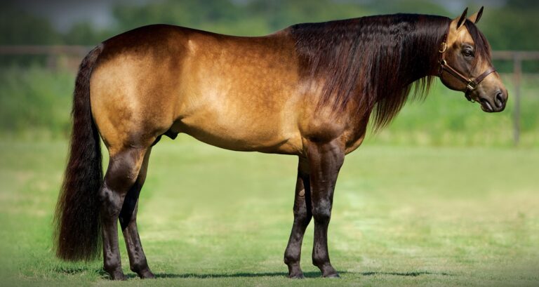 Photo by www.whizkeyndiamonds.net