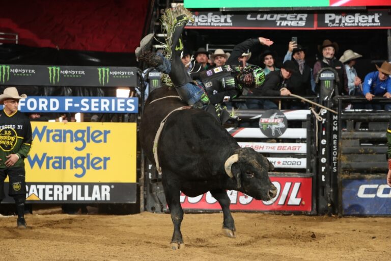 Photo by Andy Watson/BullStock Media