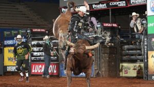 Photo by PBR.com