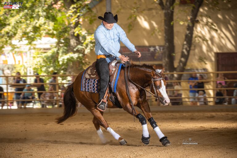 Photo by Tom Hautmann