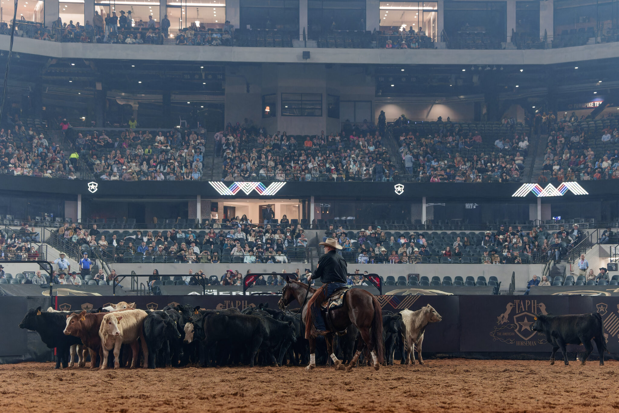 The American Performance Horseman Will Not Be Produced in 2026