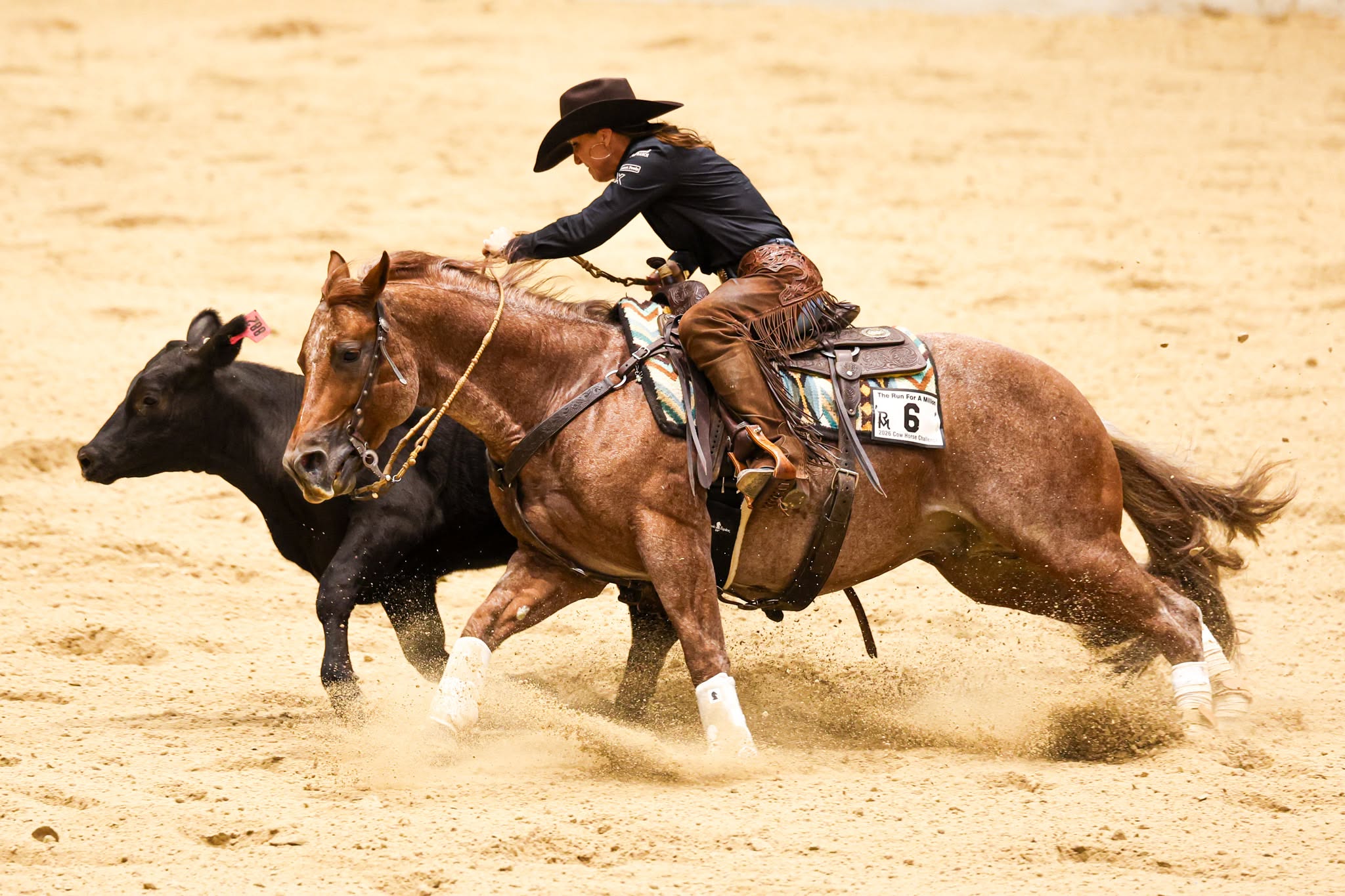 Erin Taormino and Hazardous Material Claim The Run For A Million $250,000 Cow Horse Challenge